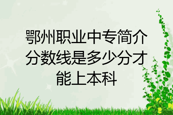 鄂州职业中专简介分数线是多少分才能上本科