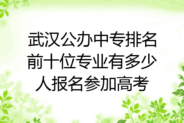 武汉公办中专排名前十位专业有多少人报名参加高考