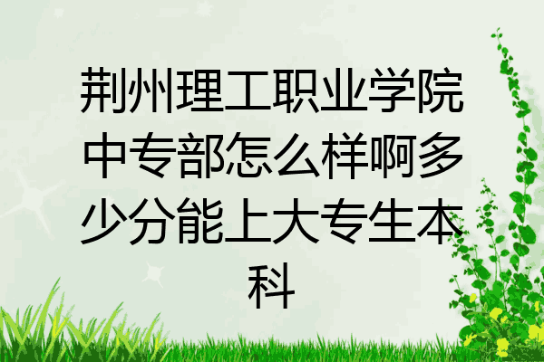 荆州理工职业学院中专部怎么样啊多少分能上大专生本科