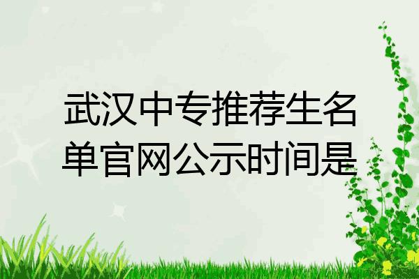 武汉中专推荐生名单官网公示时间是