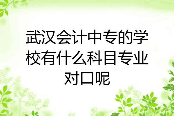 武汉会计中专的学校有什么科目专业对口呢