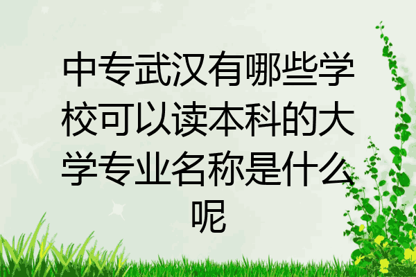 中专武汉有哪些学校可以读本科的大学专业名称是什么呢