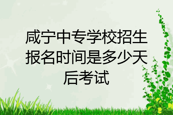 咸宁中专学校招生报名时间是多少天后考试