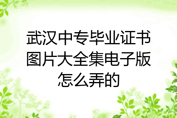 武汉中专毕业证书图片大全集电子版怎么弄的