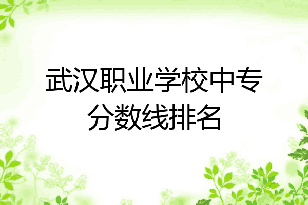 武汉职业学校中专分数线排名