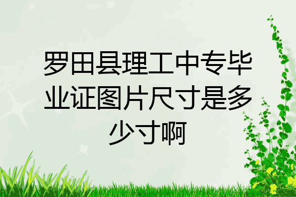 罗田县理工中专毕业证图片尺寸是多少寸啊