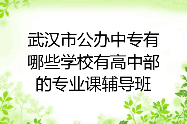武汉市公办中专有哪些学校有高中部的专业课辅导班