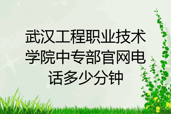 武汉工程职业技术学院中专部官网电话多少分钟