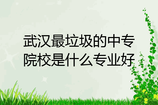 武汉最垃圾的中专院校是什么专业好