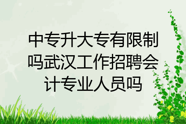 中专升大专有限制吗武汉工作招聘会计专业人员吗