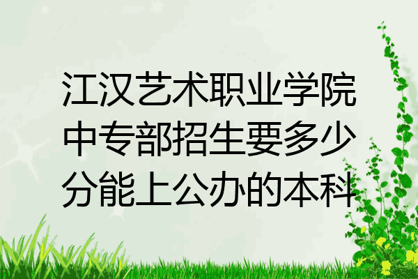 江汉艺术职业学院中专部招生要多少分能上公办的本科