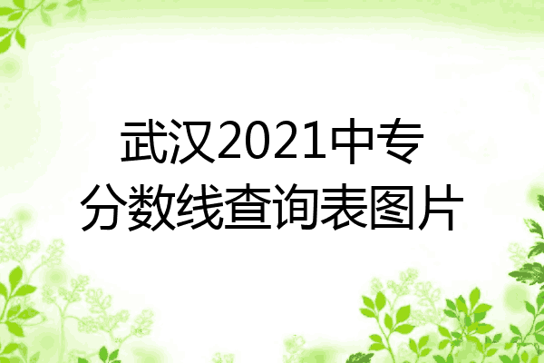 武汉2021中专分数线查询表图片