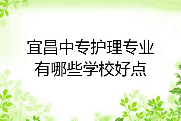 宜昌中专护理专业有哪些学校好点