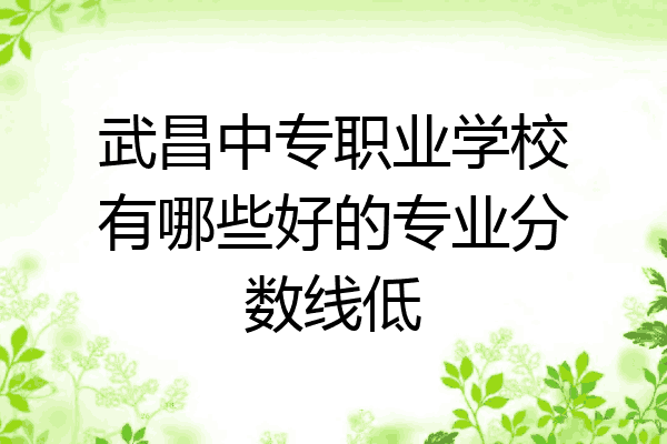 武昌中专职业学校有哪些好的专业分数线低
