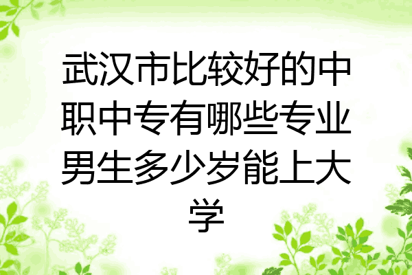 武汉市比较好的中职中专有哪些专业男生多少岁能上大学