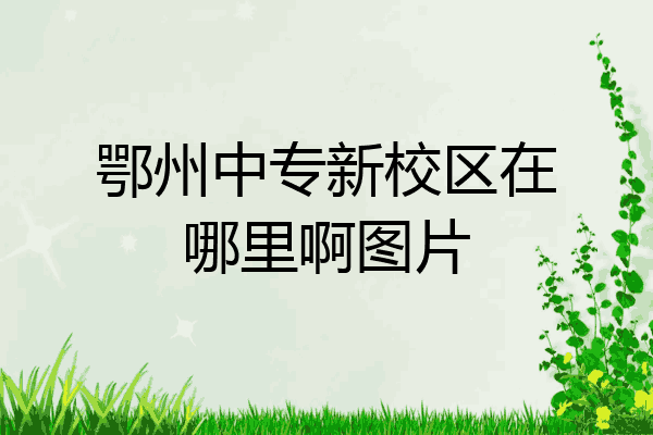 鄂州中专新校区在哪里啊图片