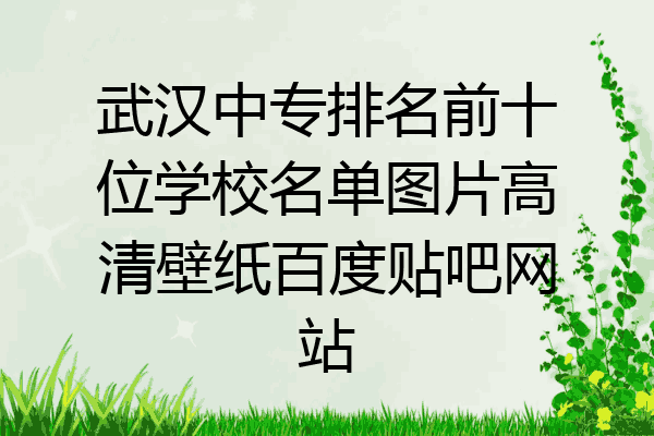 武汉中专排名前十位学校名单图片高清壁纸百度贴吧网站