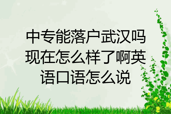 中专能落户武汉吗现在怎么样了啊英语口语怎么说