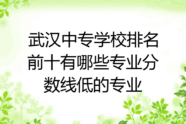 武汉中专学校排名前十有哪些专业分数线低的专业