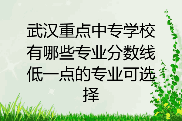 武汉重点中专学校有哪些专业分数线低一点的专业可选择