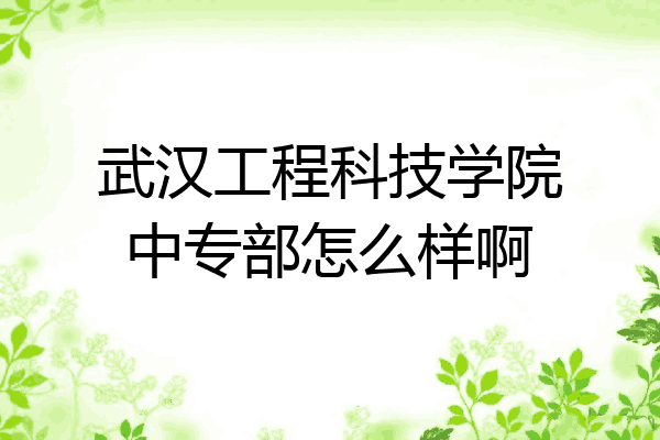 武汉工程科技学院中专部怎么样啊