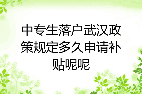 中专生落户武汉政策规定多久申请补贴呢呢