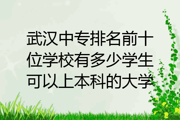 武汉中专排名前十位学校有多少学生可以上本科的大学