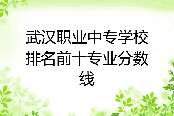 武汉职业中专学校排名前十专业分数线