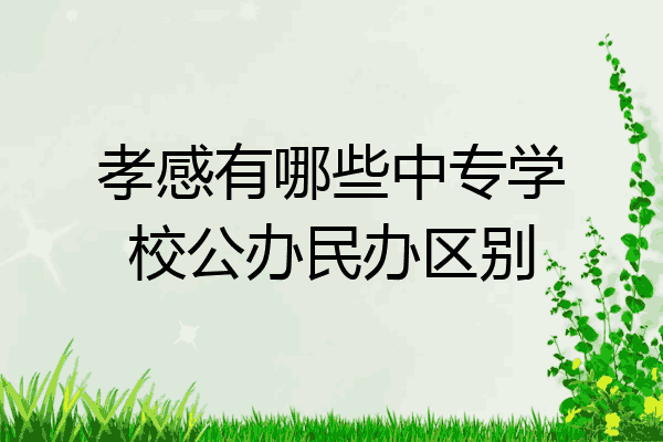 孝感有哪些中专学校公办民办区别
