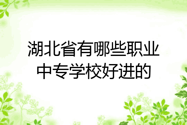 湖北省有哪些职业中专学校好进的