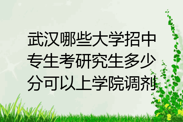 武汉哪些大学招中专生考研究生多少分可以上学院调剂