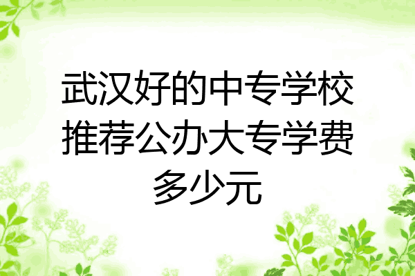 武汉好的中专学校推荐公办大专学费多少元