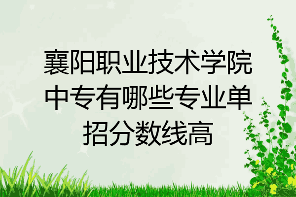 襄阳职业技术学院中专有哪些专业单招分数线高