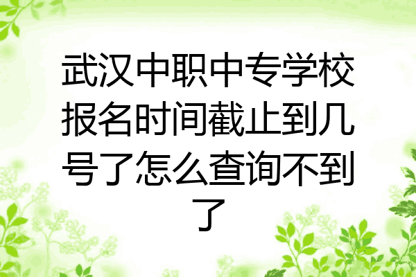 武汉中职中专学校报名时间截止到几号了怎么查询不到了