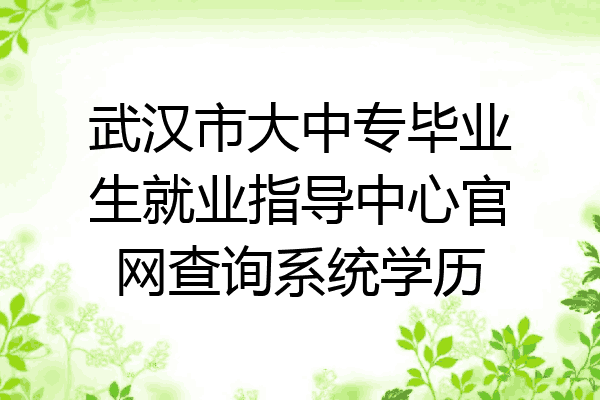 武汉市大中专毕业生就业指导中心官网查询系统学历