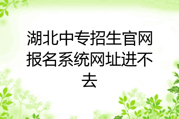 湖北中专招生官网报名系统网址进不去