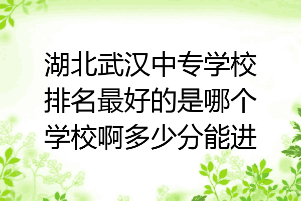 湖北武汉中专学校排名最好的是哪个学校啊多少分能进