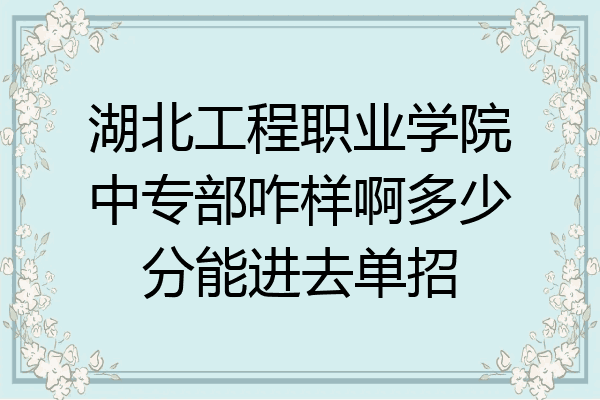 湖北工程职业学院中专部咋样啊多少分能进去单招