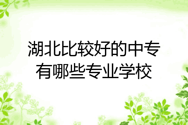 湖北比较好的中专有哪些专业学校