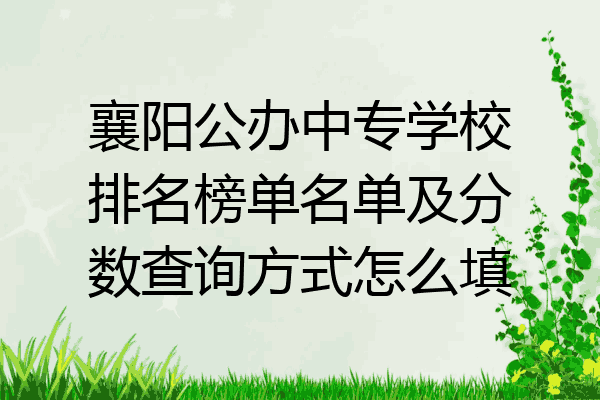 襄阳公办中专学校排名榜单名单及分数查询方式怎么填