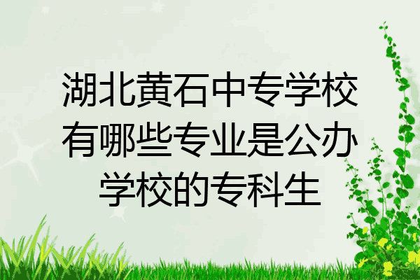 湖北黄石中专学校有哪些专业是公办学校的专科生