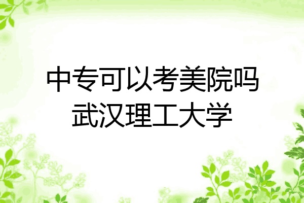 中专可以考美院吗武汉理工大学
