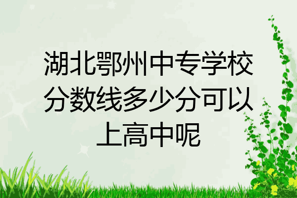 湖北鄂州中专学校分数线多少分可以上高中呢