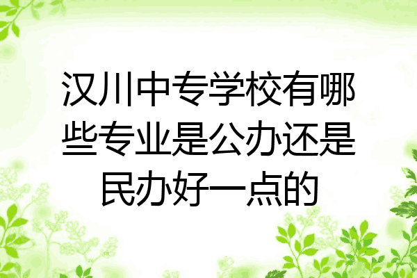 汉川中专学校有哪些专业是公办还是民办好一点的
