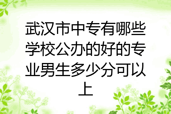 武汉市中专有哪些学校公办的好的专业男生多少分可以上