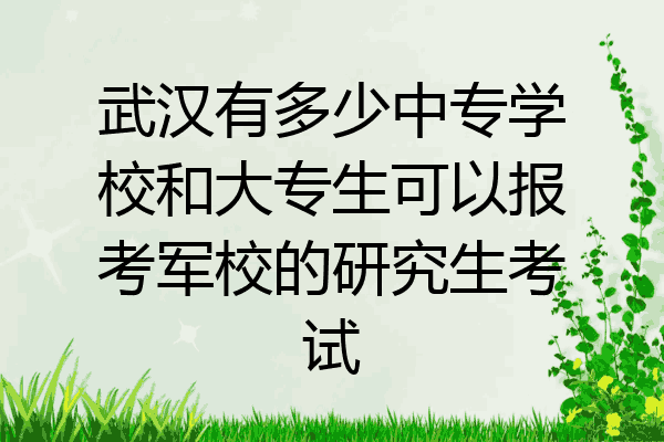 武汉有多少中专学校和大专生可以报考军校的研究生考试