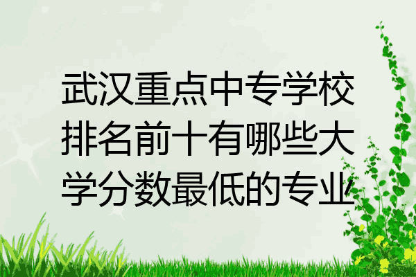武汉重点中专学校排名前十有哪些大学分数最低的专业