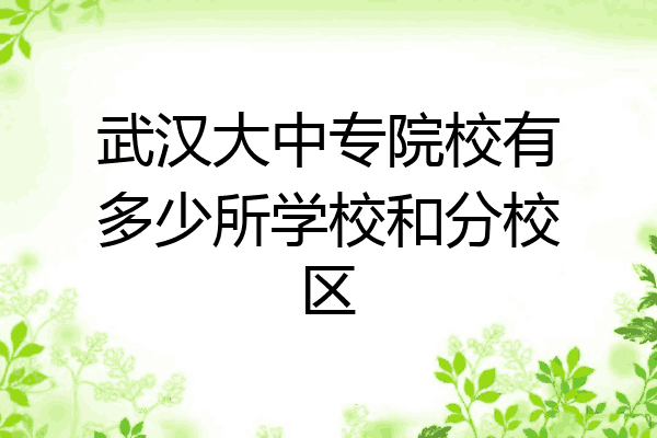 武汉大中专院校有多少所学校和分校区