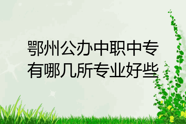 鄂州公办中职中专有哪几所专业好些