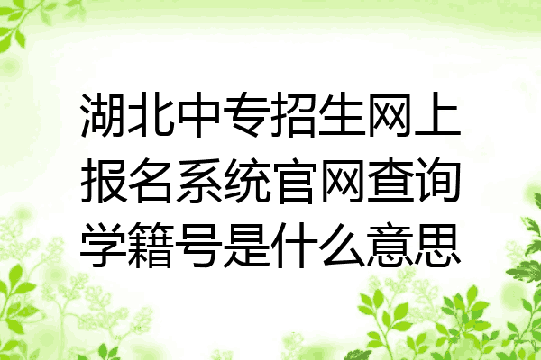 湖北中专招生网上报名系统官网查询学籍号是什么意思